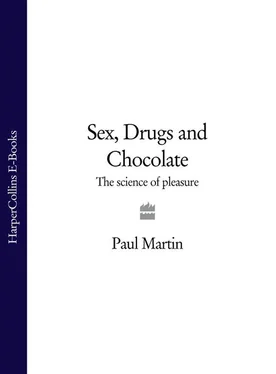 Paul Martin Sex, Drugs and Chocolate: The Science of Pleasure обложка книги