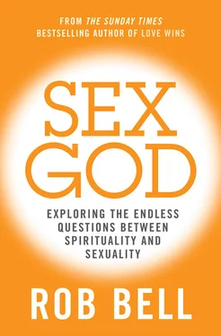 Rob Bell Sex God: Exploring the Endless Questions Between Spirituality and Sexuality обложка книги