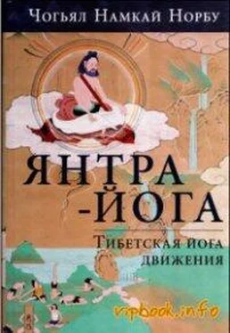 Намкай Ринпоче Введение в янтра-йогу обложка книги