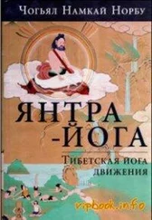 Намкай Ринпоче - Введение в янтра-йогу