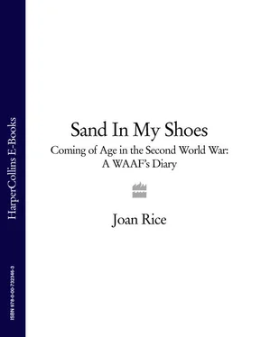 Joan Rice Sand In My Shoes: Coming of Age in the Second World War: A WAAF’s Diary обложка книги