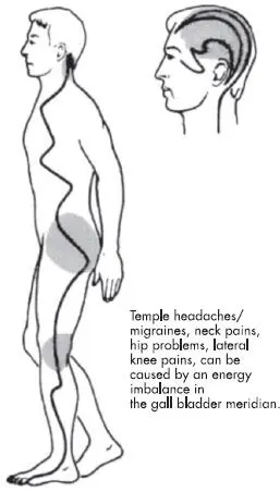 Fig 3a Energy congestions gall bladder meridian Fig 3b Energy - фото 4