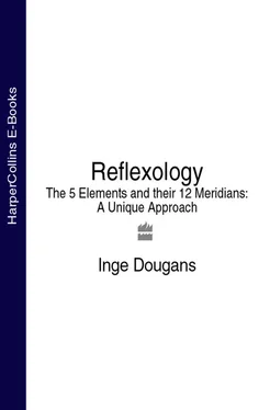 Inge Dougans Reflexology: The 5 Elements and their 12 Meridians: A Unique Approach обложка книги