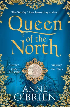 Anne O'Brien Queen of the North: sumptuous and evocative historical fiction from the Sunday Times bestselling author обложка книги