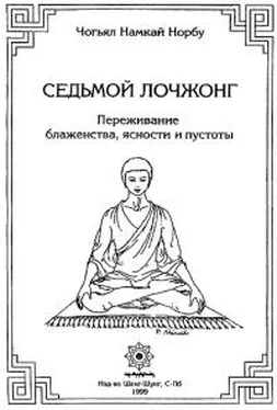 Намкай Ринпоче 7-ой лочжонг. Переживание блаженства, ясности и пустоты обложка книги