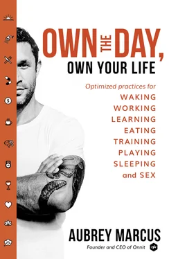 Aubrey Marcus Own the Day, Own Your Life: Optimised practices for waking, working, learning, eating, training, playing, sleeping and sex обложка книги