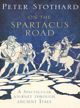 Peter Stothard On the Spartacus Road: A Spectacular Journey through Ancient Italy обложка книги