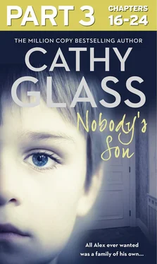 Cathy Glass Nobody’s Son: Part 3 of 3: All Alex ever wanted was a family of his own обложка книги