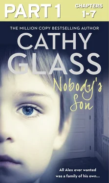 Cathy Glass Nobody’s Son: Part 1 of 3: All Alex ever wanted was a family of his own обложка книги