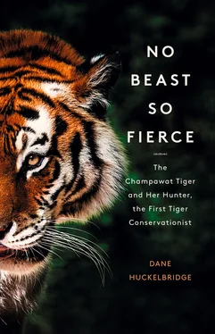 Dane Huckelbridge No Beast So Fierce: The Terrifying True Story of the Champawat Tiger, the Deadliest Animal in History обложка книги