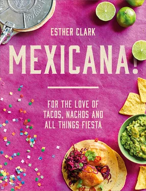 Esther Clark Mexicana!: For the Love of Tacos, Nachos and All Things Fiesta обложка книги