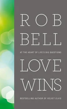 Rob Bell Love Wins: At the Heart of Life’s Big Questions обложка книги