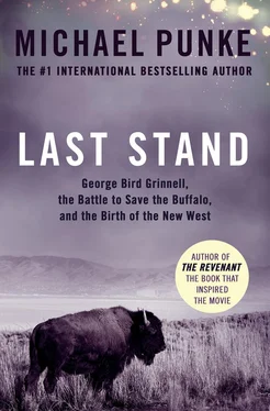 Michael Punke Last Stand: George Bird Grinnell, the Battle to Save the Buffalo, and the Birth of the New West обложка книги