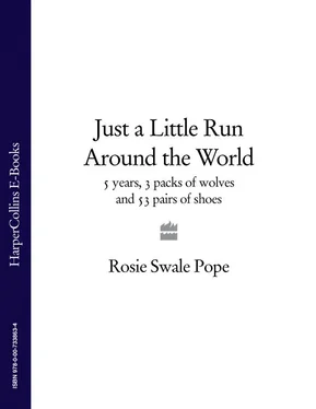 Rosie Pope Just a Little Run Around the World: 5 Years, 3 Packs of Wolves and 53 Pairs of Shoes обложка книги