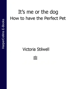 Victoria Stilwell It’s Me or the Dog: How to have the Perfect Pet обложка книги