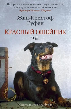 Жан-Кристоф Руфен Красный ошейник обложка книги