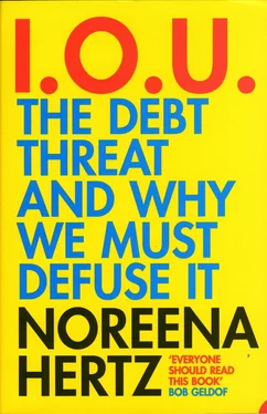 Noreena Hertz IOU: The Debt Threat and Why We Must Defuse It обложка книги
