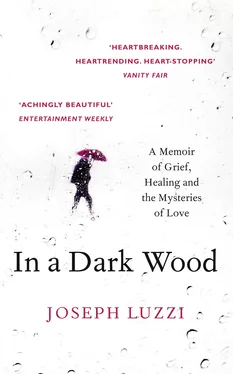 Joseph Luzzi In a Dark Wood: What Dante Taught Me About Grief, Healing, and the Mysteries of Love обложка книги
