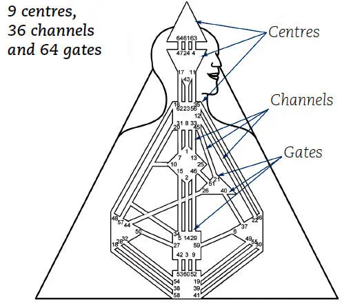 Connecting the centres is the framework of 36 channels through which the flow - фото 3