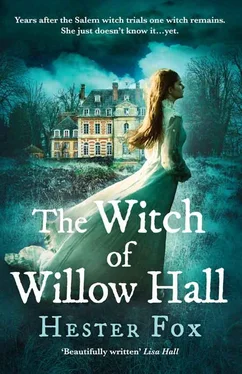 Hester Fox The Witch Of Willow Hall: A spellbinding historical fiction debut perfect for fans of Chilling Adventures of Sabrina обложка книги