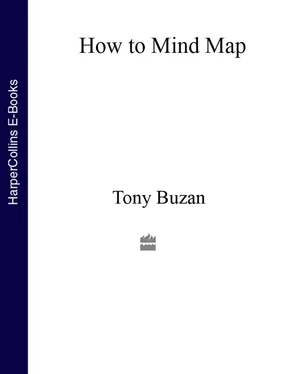 Tony Buzan How to Mind Map: The Ultimate Thinking Tool That Will Change Your Life обложка книги