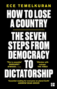 Ece Temelkuran How to Lose a Country: The Seven Warning Signs of Rising Populism обложка книги