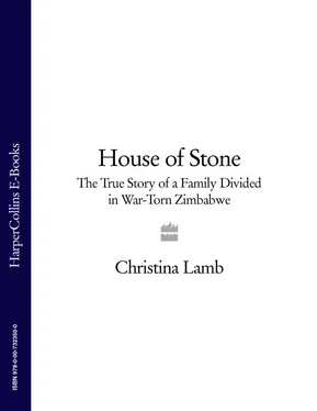Christina Lamb House of Stone: The True Story of a Family Divided in War-Torn Zimbabwe обложка книги
