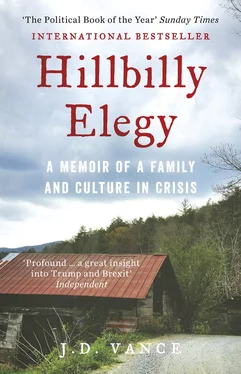 J. Vance Hillbilly Elegy: A Memoir of a Family and Culture in Crisis обложка книги