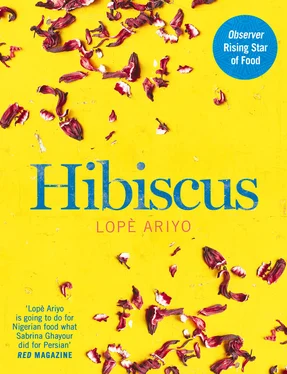 Lope Ariyo Hibiscus: Discover Fresh Flavours from West Africa with the Observer Rising Star of Food 2017 обложка книги