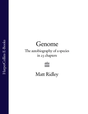 Matt Ridley Genome: The Autobiography of a Species in 23 Chapters обложка книги