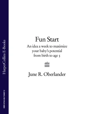 June Oberlander Fun Start: An idea a week to maximize your baby’s potential from birth to age 5 обложка книги