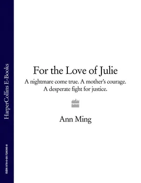 Ann Ming For the Love of Julie: A nightmare come true. A mother’s courage. A desperate fight for justice. обложка книги