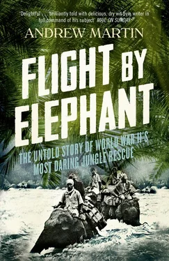 Andrew Martin Flight By Elephant: The Untold Story of World War II’s Most Daring Jungle Rescue