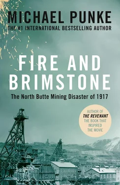 Michael Punke Fire and Brimstone: The North Butte Mining Disaster of 1917 обложка книги