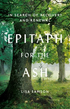 Lisa Samson Epitaph for the Ash: In Search of Recovery and Renewal обложка книги