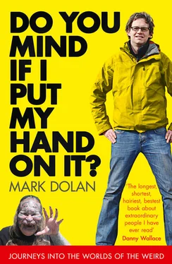 Mark Dolan Do You Mind if I Put My Hand on it?: Journeys into the Worlds of the Weird обложка книги