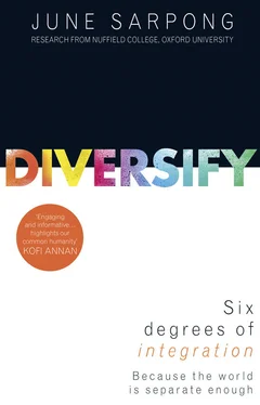 June Sarpong Diversify: A fierce, accessible, empowering guide to why a more open society means a more successful one обложка книги