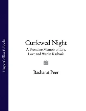 Basharat Peer Curfewed Night: A Frontline Memoir of Life, Love and War in Kashmir обложка книги
