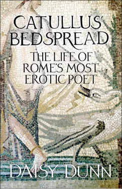 Daisy Dunn Catullus’ Bedspread: The Life of Rome’s Most Erotic Poet обложка книги