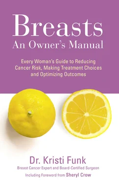 Kristi Funk Breasts: An Owner’s Manual: Every Woman’s Guide to Reducing Cancer Risk, Making Treatment Choices and Optimising Outcomes обложка книги