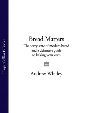 Andrew Whitley Bread Matters: The sorry state of modern bread and a definitive guide to baking your own обложка книги