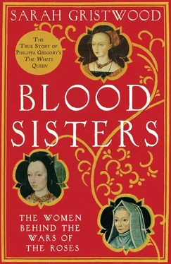 Sarah Gristwood Blood Sisters: The Hidden Lives of the Women Behind the Wars of the Roses обложка книги