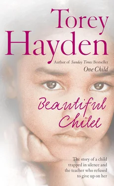 Torey Hayden Beautiful Child: The story of a child trapped in silence and the teacher who refused to give up on her обложка книги