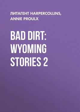 Annie Proulx Bad Dirt: Wyoming Stories 2 обложка книги