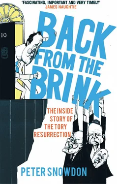 Peter Snowdon Back from the Brink: The Inside Story of the Tory Resurrection обложка книги
