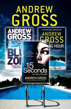 Andrew Gross Andrew Gross 3-Book Thriller Collection 2: 15 Seconds, Killing Hour, The Blue Zone обложка книги