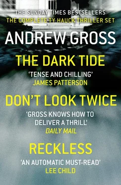 Andrew Gross Andrew Gross 3-Book Thriller Collection 1: The Dark Tide, Don’t Look Twice, Relentless обложка книги