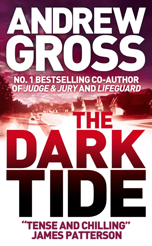 Andrew Gross 3Book Thriller Collection 1 The Dark Tide Dont Look Twice Relentless - изображение 2