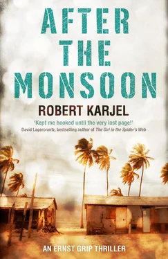 Robert Karjel After the Monsoon: An unputdownable thriller that will get your pulse racing! обложка книги