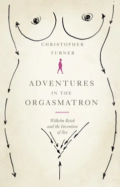 Christopher Turner Adventures in the Orgasmatron: Wilhelm Reich and the Invention of Sex обложка книги